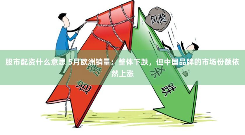 股市配资什么意思 5月欧洲销量：整体下跌，但中国品牌的市场份额依然上涨