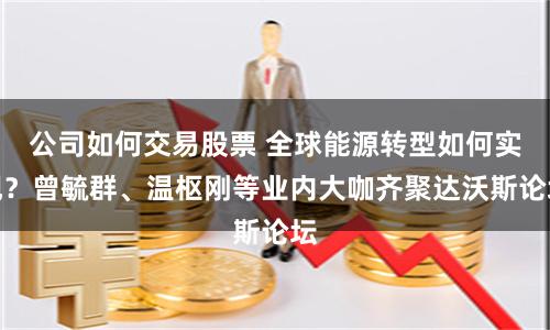公司如何交易股票 全球能源转型如何实现？曾毓群、温枢刚等业内大咖齐聚达沃斯论坛