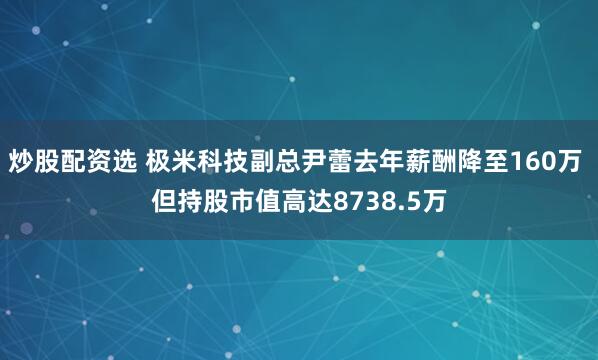 炒股配资选 极米科技副总尹蕾去年薪酬降至160万 但持股市值高达8738.5万