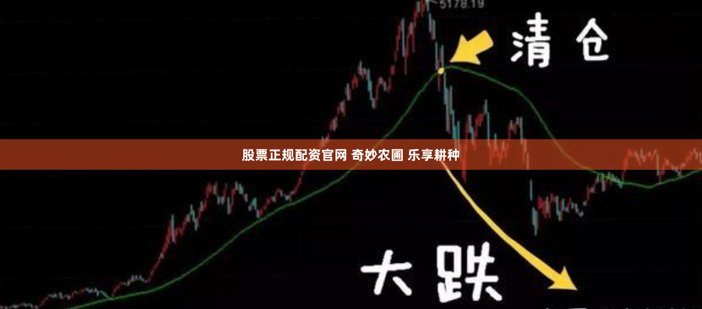 股票正规配资官网 奇妙农圃 乐享耕种