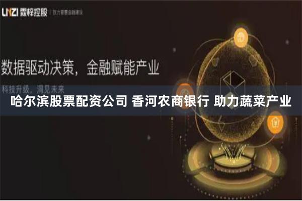 哈尔滨股票配资公司 香河农商银行 助力蔬菜产业