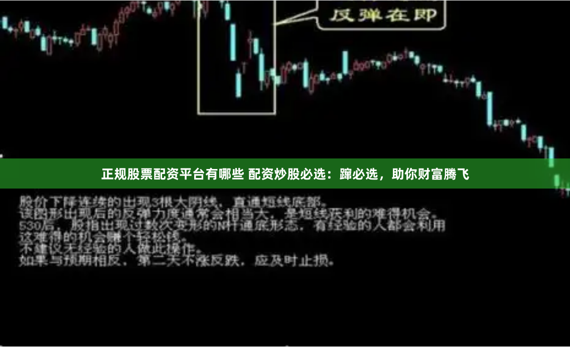 正规股票配资平台有哪些 配资炒股必选：蹿必选，助你财富腾飞
