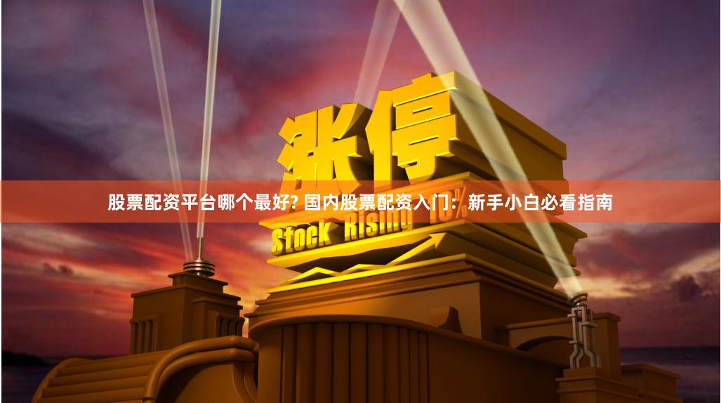 股票配资平台哪个最好? 国内股票配资入门：新手小白必看指南